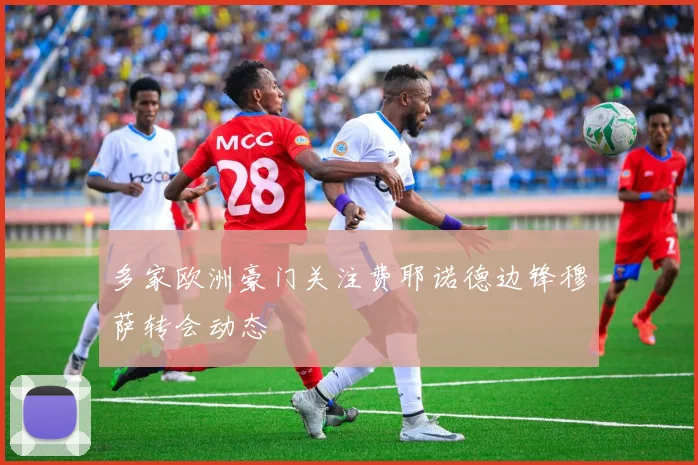 多家欧洲豪门关注费耶诺德边锋穆萨转会动态