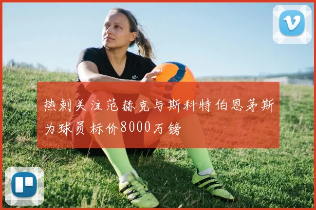 热刺关注范赫克与斯科特伯恩茅斯为球员标价8000万镑