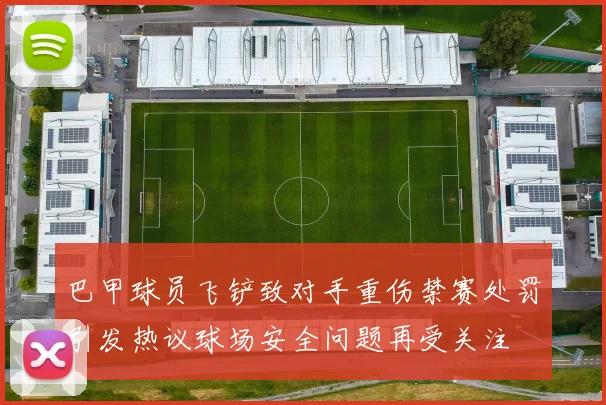 巴甲球员飞铲致对手重伤禁赛处罚引发热议球场安全问题再受关注