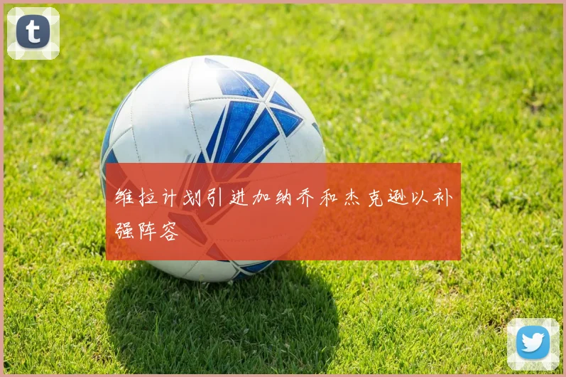 维拉计划引进加纳乔和杰克逊以补强阵容