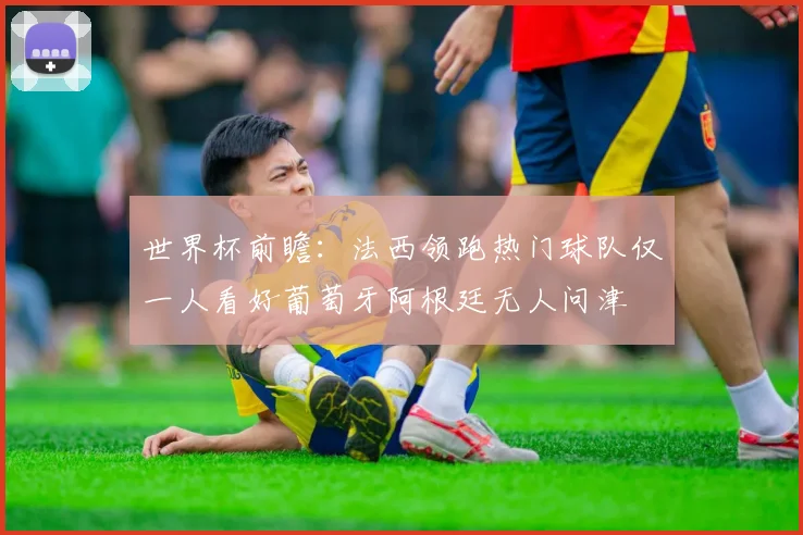 世界杯前瞻：法西领跑热门球队仅一人看好葡萄牙阿根廷无人问津