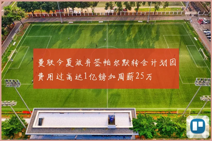 曼联今夏放弃签帕尔默转会计划因费用过高达1亿镑加周薪25万